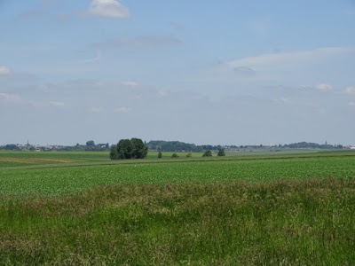 DSC01600.JPG