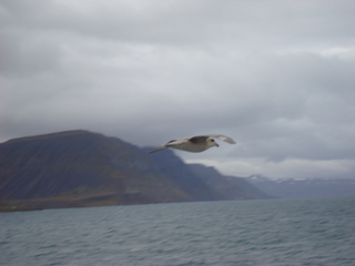 august%20trip%20051.JPG