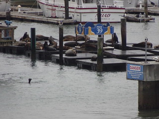 42331210411_033ea046fa_n.jpg