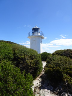 40167396252_fc5d46aa06_n.jpg