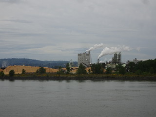 40557668980_48c587a55a_n.jpg