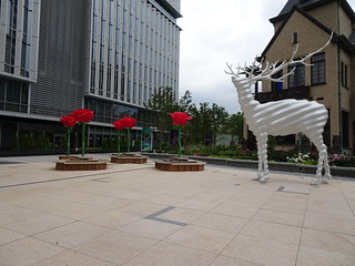 41655082355_4f00858bc6_n.jpg