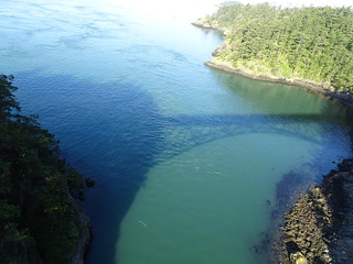 42381799772_cea8c48a76_n.jpg