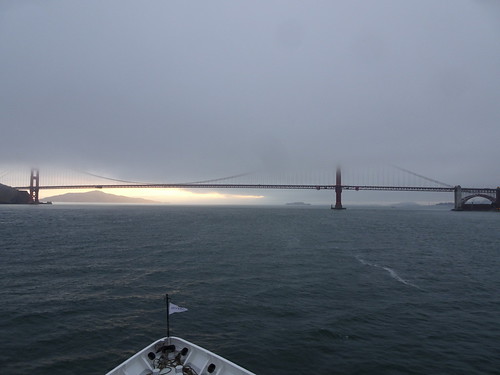 41608867544_3292ab6620.jpg