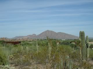 PHX_DesertPark.jpg