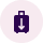 Bag check-in icon