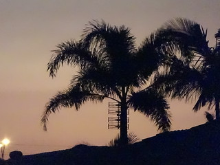 35888374120_d4eec24bb2_n.jpg