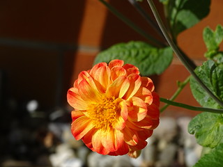29373328186_aac5bf96f3_n.jpg
