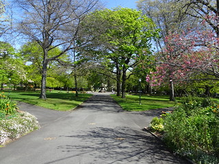 37685160201_1753c4db54_n.jpg