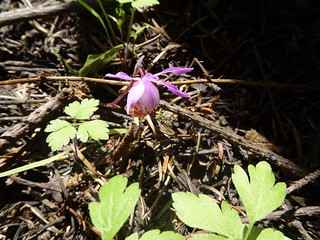 28514400398_9ed8a8781e_n.jpg