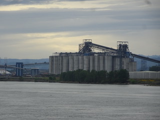 40557670110_c830788e00_n.jpg