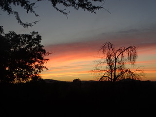 34194720315_8e3260207c_n.jpg