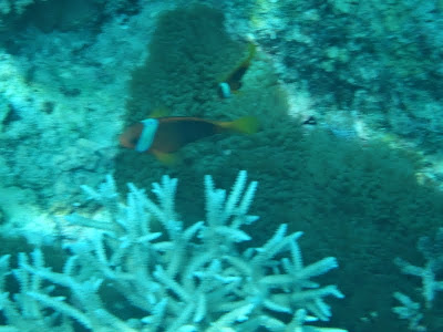 DSC00618.JPG