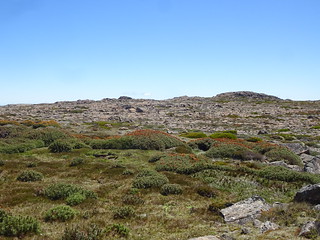 39752901033_4c696822df_n.jpg