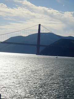 42284666172_dfa9636f46_n.jpg