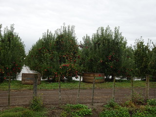 47243565921_e8059b3890_n.jpg