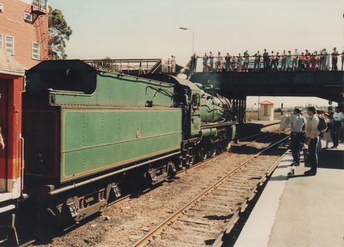 32215068002_e4bb84b677.jpg