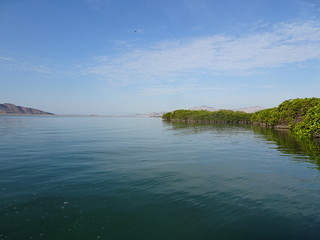 28178908318_8e19c313d0_n.jpg
