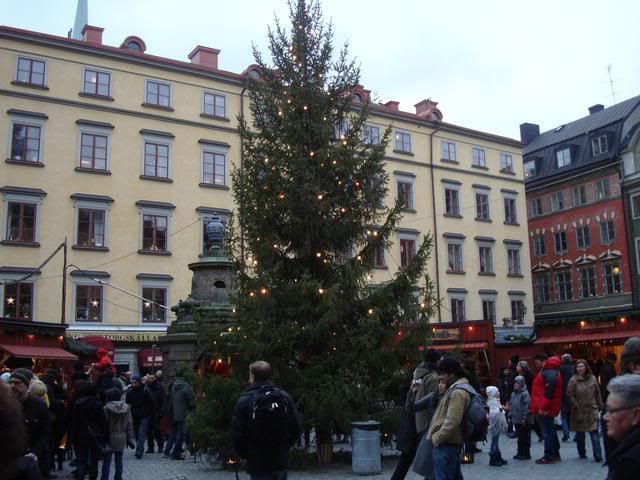 DSC01175.jpg