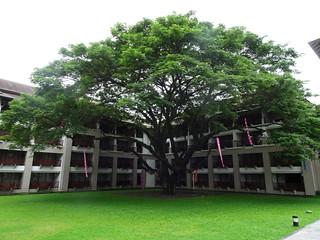 35775155796_7cc341cfa9_n.jpg