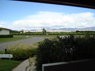 NZ%20december%20028.JPG