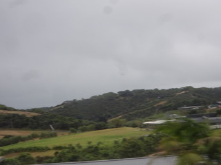 32300537107_41bdcd2833_n.jpg