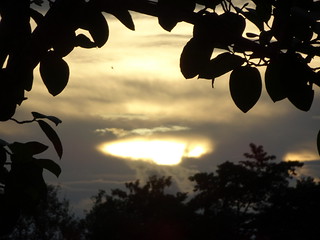 35725779071_3890be4728_n.jpg