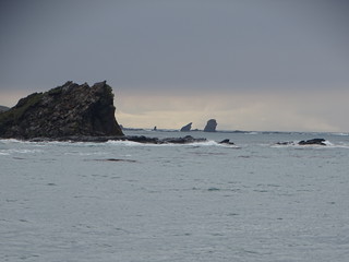 33571167331_162e3d8845_n.jpg