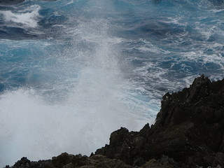 30194767647_ee37b8155b_n.jpg