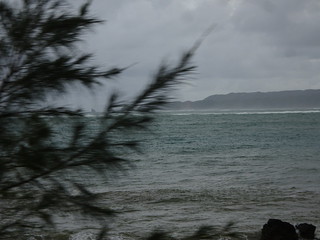 43319364570_c93ca53152_n.jpg