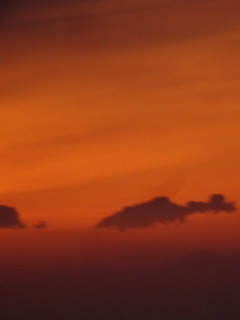 41834391554_d48bd77d5f_n.jpg