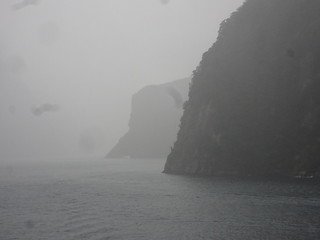 33180042158_582eac06ba_n.jpg