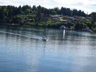 41507576375_6569893f21_n.jpg