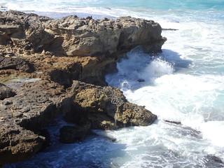 37108593436_42629505f6_n.jpg