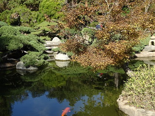 31251120291_2999208d8a_n.jpg
