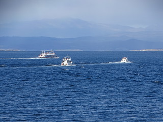 33600719956_5b28ed4754_n.jpg