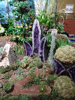 40979497842_bc7c510e65_n.jpg
