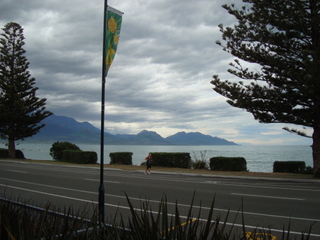 NZ%20december%20006.JPG