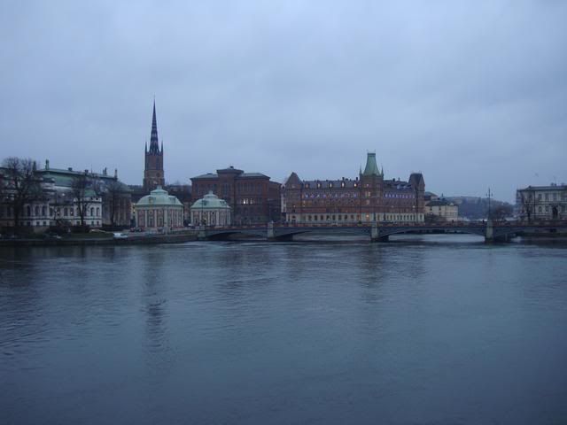 DSC01072.jpg