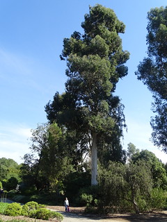 30558320973_d033edecbf_n.jpg