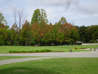 43892752105_ceaa74f662_n.jpg