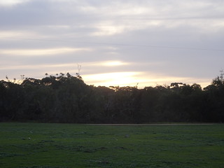 36946237600_e6da008538_n.jpg