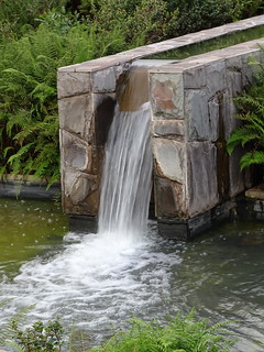 32584565904_aa2693a92b_n.jpg