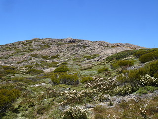 46717819651_50e9391996_n.jpg