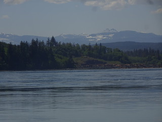41632969735_6e0a3ac8b1_n.jpg