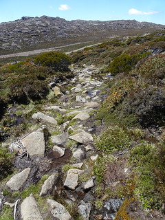 46665191262_05cdde1c09_n.jpg