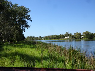 42833951935_a12d278159_n.jpg