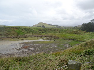 47303216472_075f17eb33_n.jpg