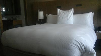 hilton-sw-bed.jpg