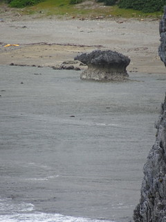 45132594111_efd003e870_n.jpg